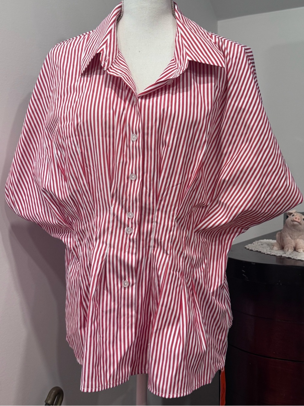 Red & White Striped Button Down Blouse - Picture 1 of 10